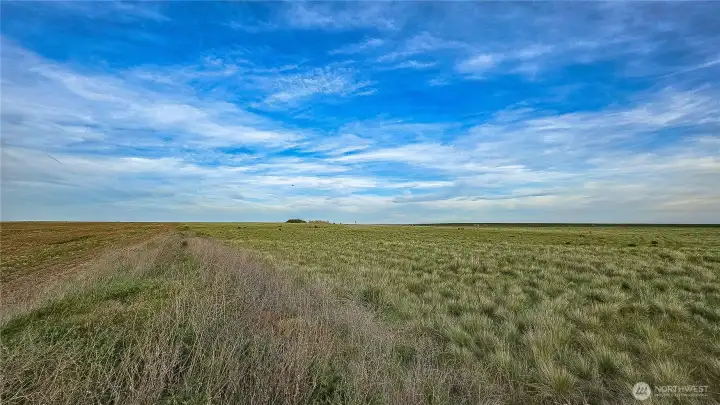Looking east across the property's vast open land, highlighting the flat topography and unobstructed skyline.