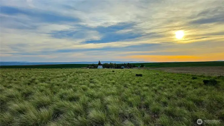 The views never end, and the neighbors are incredibly quiet! This breathtaking west-facing sunset view from the eastern acreage shows off exactly why so many people are looking to move to the Waterville area. Imagine ending every single day looking out over your own expansive land, with the main house perfectly nestled in the distance. Ultimate privacy and endless skies await!