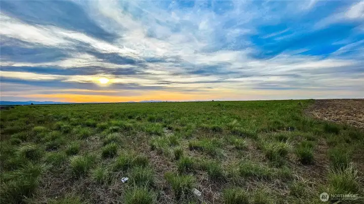 View from the East end of the property looking at home site facing West.