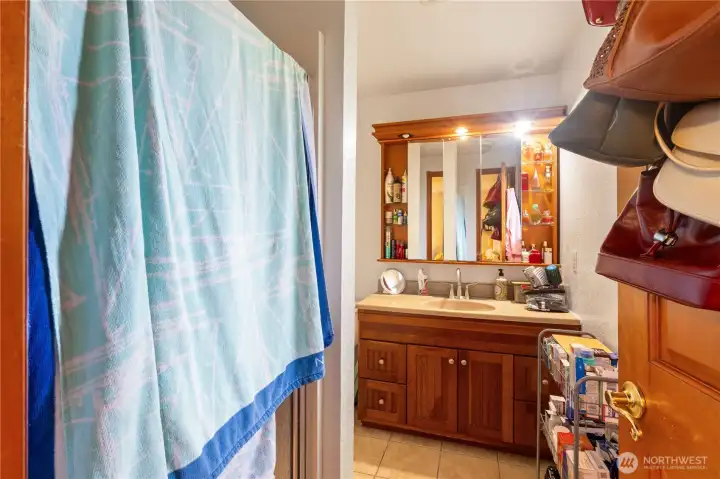 Updated primary bath featuring attractive wood cabinetry and tile  flooring