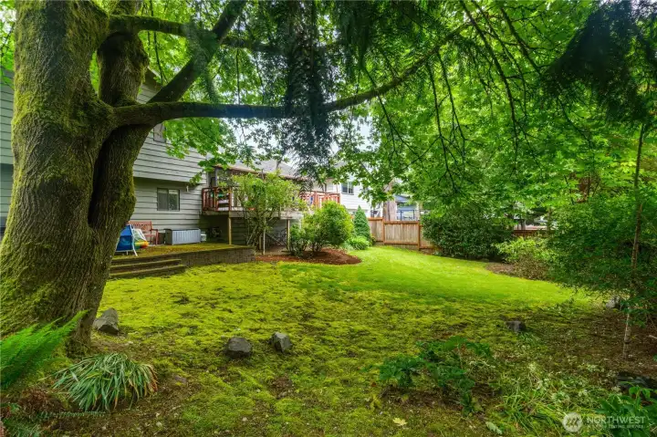 Park like feeling in your own backyard.