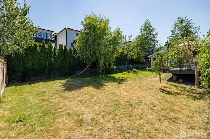 Another angle of the backyard. Another angle of the backyard.