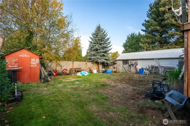 Back yard while owner occupied