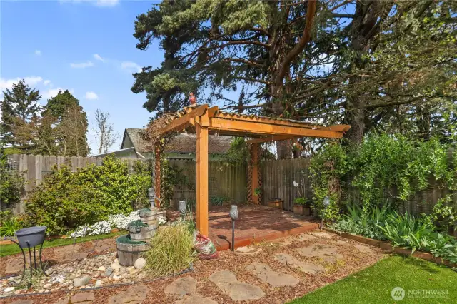 Sitting area in the backyard