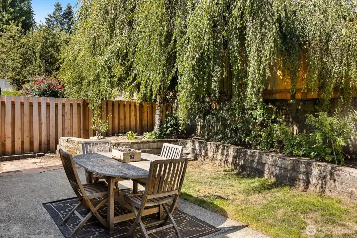 Backyard patio designed for relaxation.