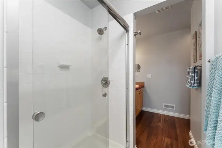 Lower level bathroom