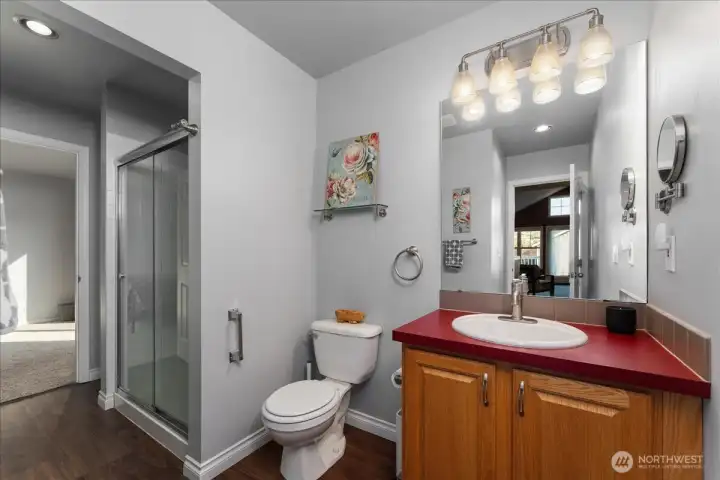 Lower level bathroom