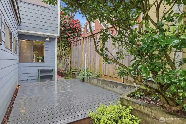 Back patio is great for BBQ setup. Can be accessed from front or back of property.