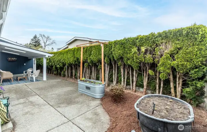Open patio and garden space