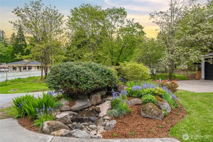 Stunning water feature!