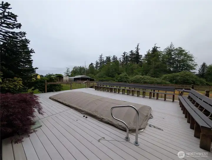 Swim Spa/Hot tub