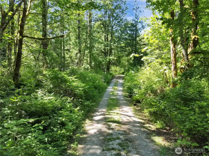 Long Gravel driveway takes you back to a private setting.