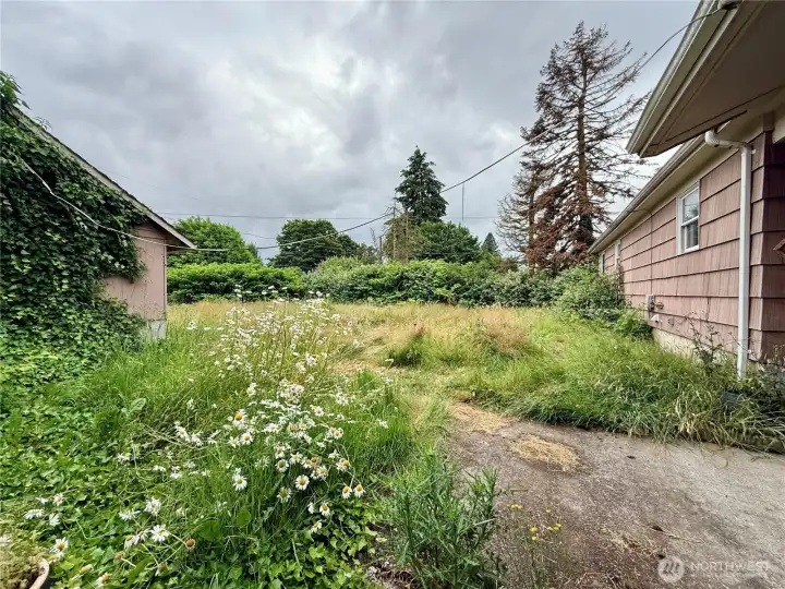 Large fenced backyard Large fenced backyard
