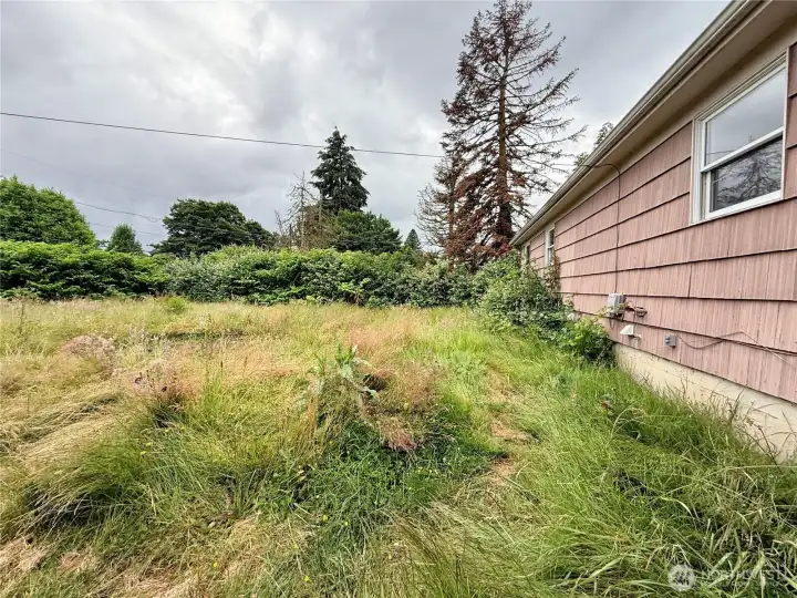 Large fenced backyard with access to covered patio Large fenced backyard with access to covered patio