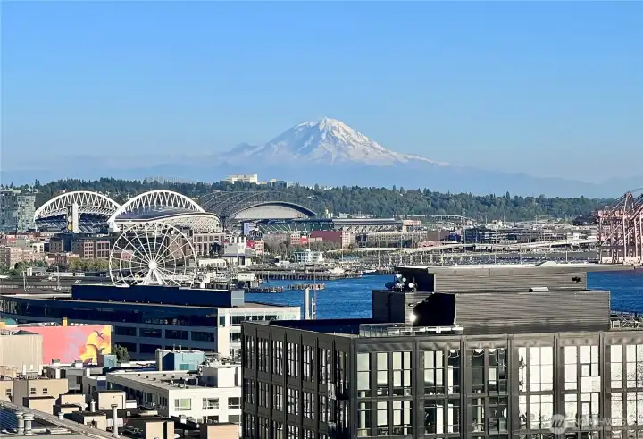 Avenue One features a spacious rooftop deck that captures amazing Mountain, Sound, & City views! Avenue One features a spacious rooftop deck that captures amazing Mountain, Sound, & City views!