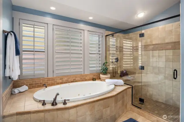 Spa-like primary bath features jetted tub and dual headed shower.