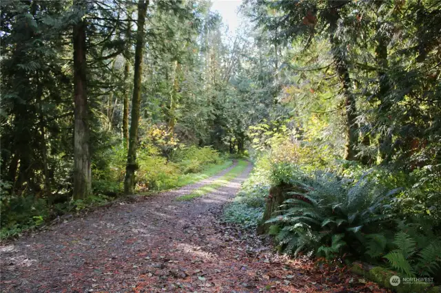 Bow Lake Lane at the back of the property.