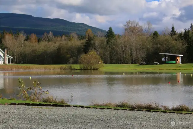 Looking from across the lake at the waterfront shore line of the property