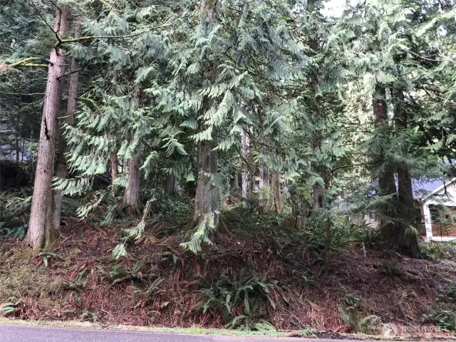 26 Jasper Ridge Ln. - Easy to Develop