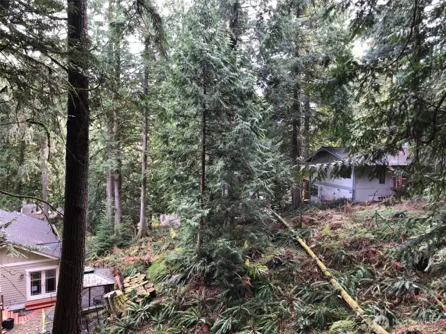 View from the Rear of the Property.