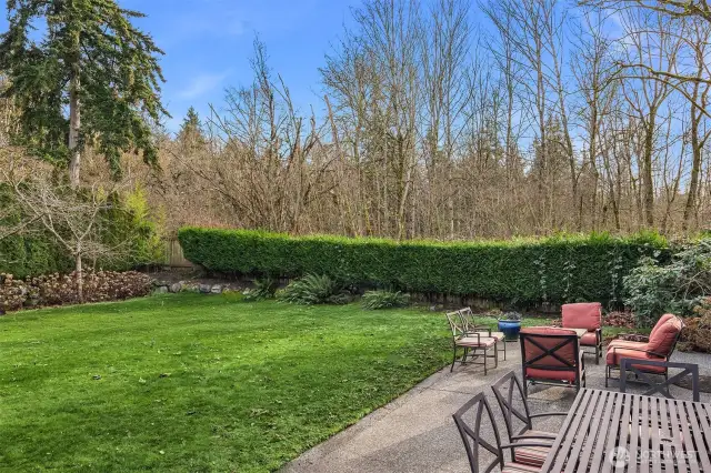 A Rare, flat, huge, kickball-sized 15,000 S.F. private lot, and great outdoor space.