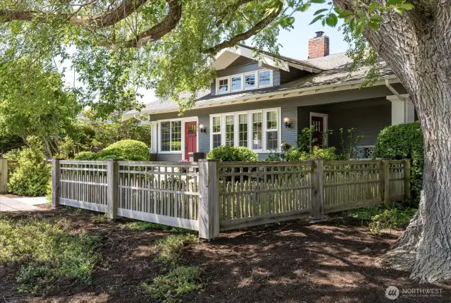 Historic Elm tree frames the property