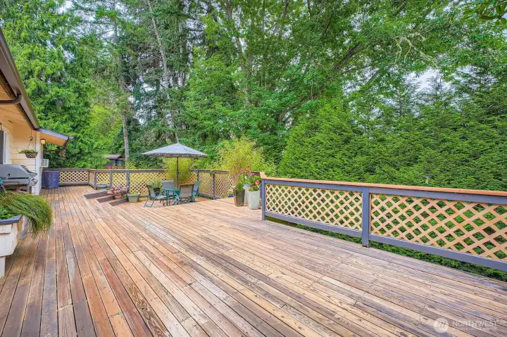 Custom Expansive, deck off Kitchen. Great for entertaining BBQ's and outdoor living space!