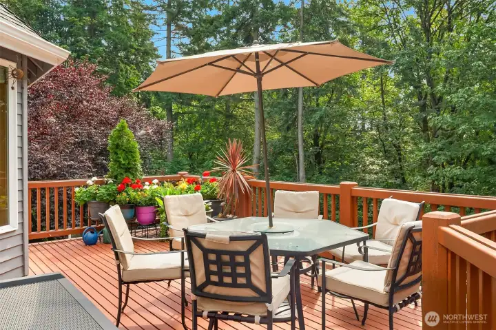 Enjoy summer evenings on the deck looking out to nature.