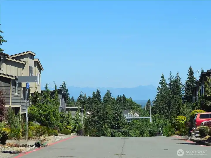 Cascade Views!
