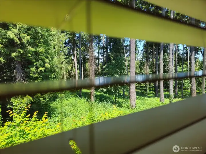 Greenbelt will forever be the view out the master bedroom.