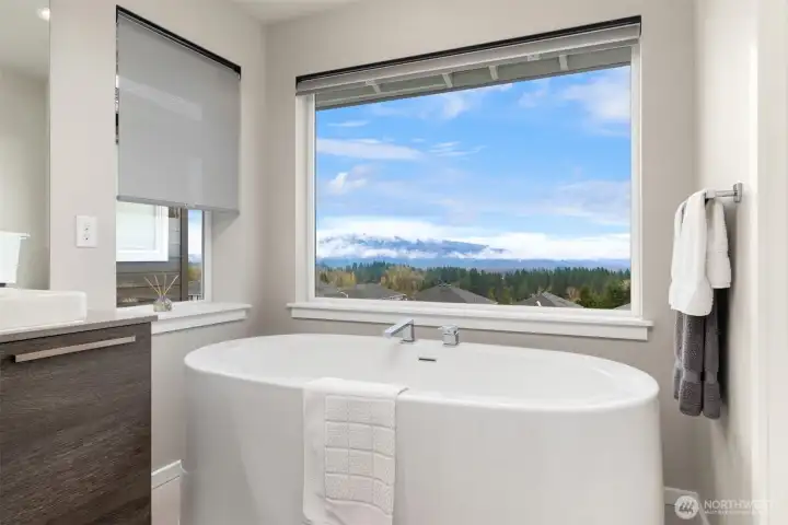 Primary Bathroom with Mountain Views