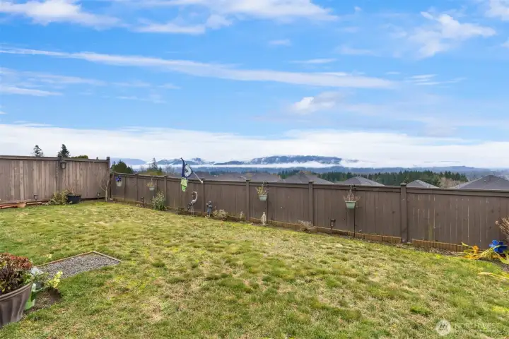 Sweeping Mountain Vistas-Backyard