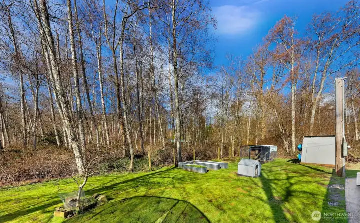 Privacy in the backyard