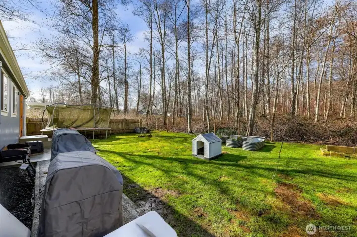 Back patio for BBQ - lots of room to grow as well