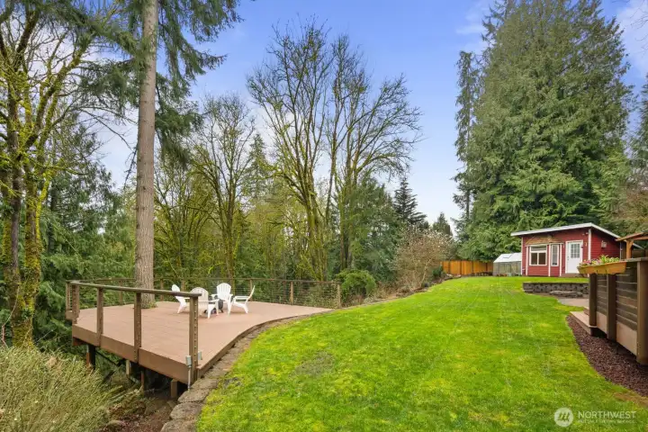Elevated treehouse deck overlooking the serene backyard