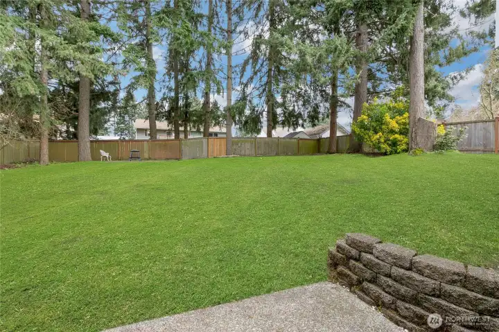 Backyard Fully Fenced. Grass Has Been Potoshopped.