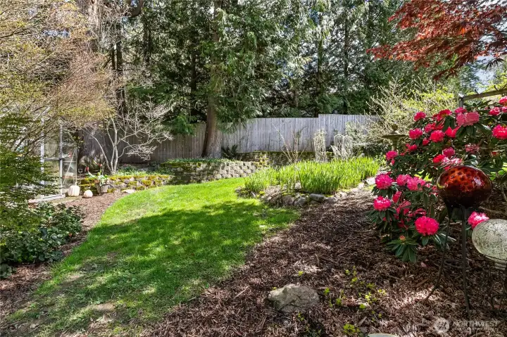 So much mature landscaping