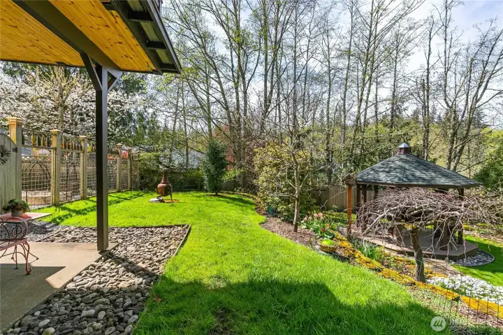 Massive fenced back yard