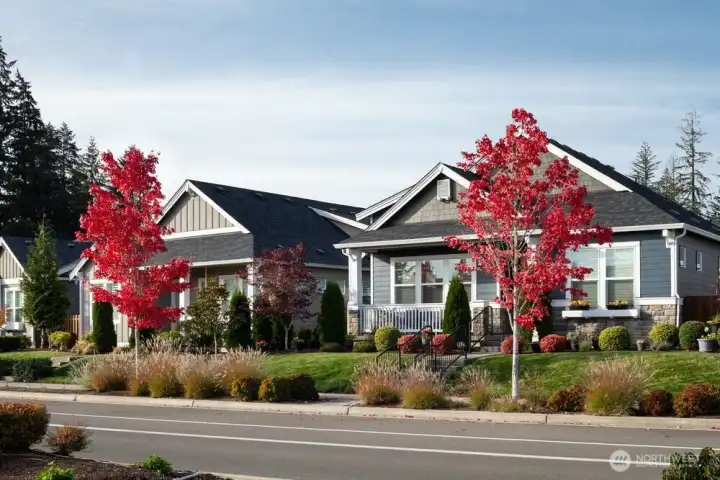Ovation at Oak Tree Community Ovation at Oak Tree Community