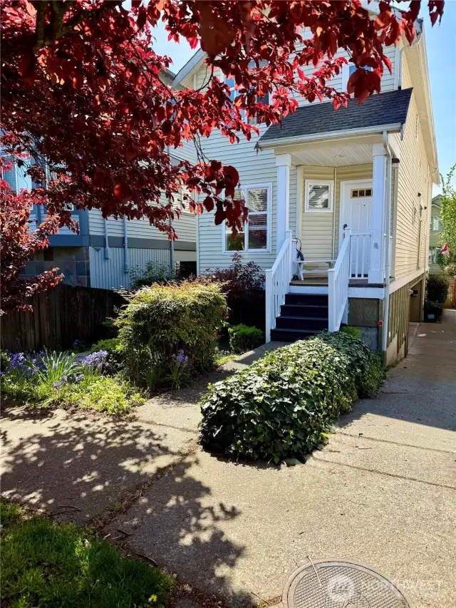 recent photo from 93rd st showing front yard entry