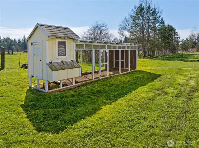 Extra large chicken coop is a wonderful space to raise all the chickens you want.