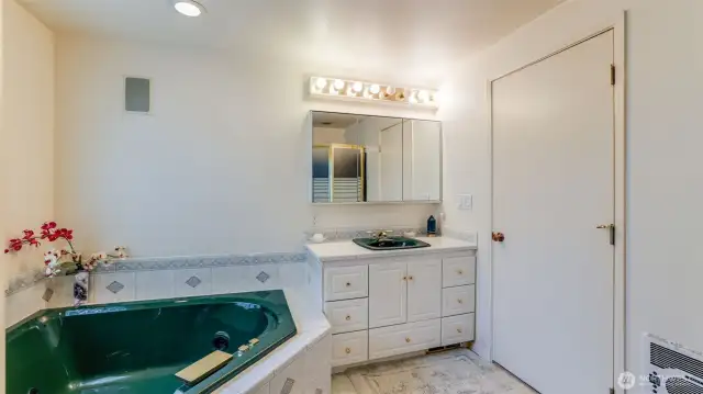 Big jetted soaking tub