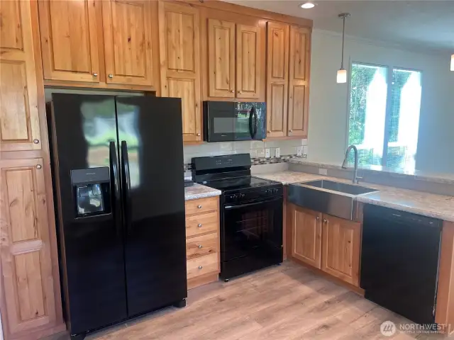 Kitchen with tons of storage to include a pantry.