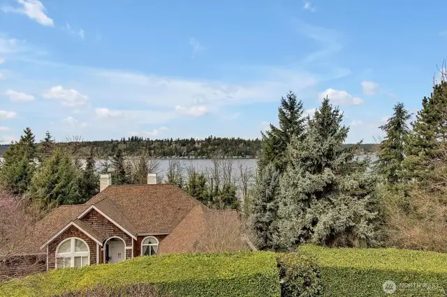 Overlooking Lake Sammamish