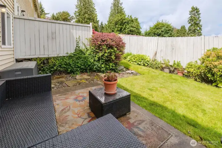 Back Patio/yard