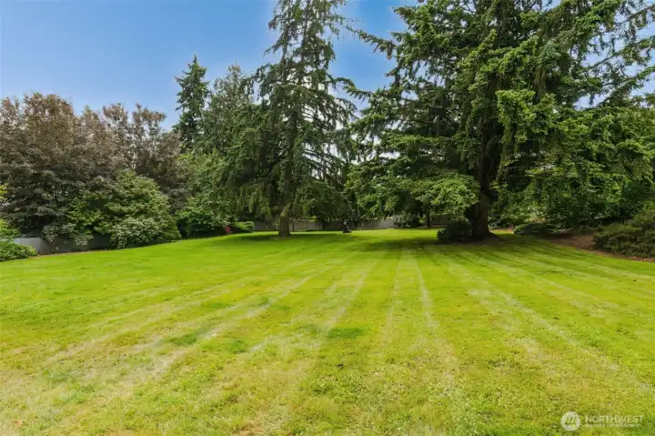 Open Grass Area