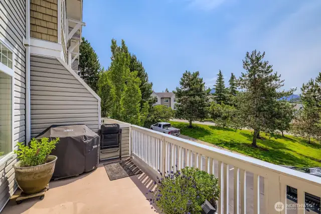 Large viewing deck with park-like setting just across the street.