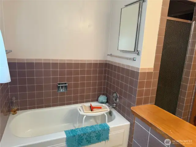 separate tub and walk in shower