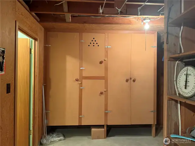 Lots of storage downstairs