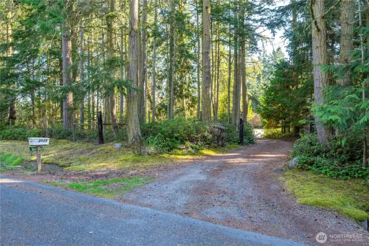 The gated entrance opens into a sweeping driveway, shrouded in beautiful greenery adding to it's magical charm! Located on a dead end street, it boasts a very serene and quiet setting.